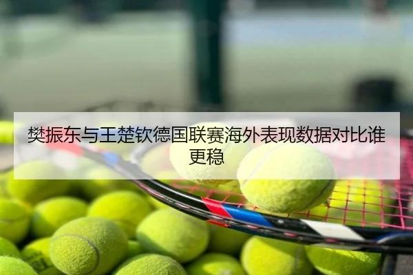 樊振东与王楚钦德国联赛海外表现数据对比谁更稳