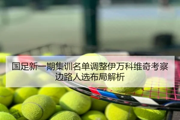 国足新一期集训名单调整伊万科维奇考察边路人选布局解析
